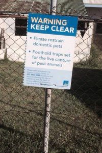 Brisbane City Council uses foot hold traps to harm catsFotohold