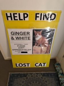 Big sign used to locate lost cat 