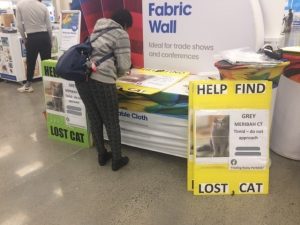 Person prepares big sign for lost cat Romy in stationery store