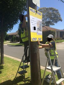 Two people standing on two step ladders, erecting a large yellow coreflute sign for a lost cat