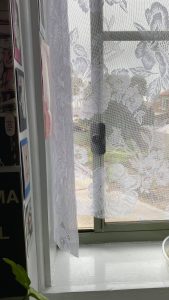 Photo of sliding window through which Poppy got out